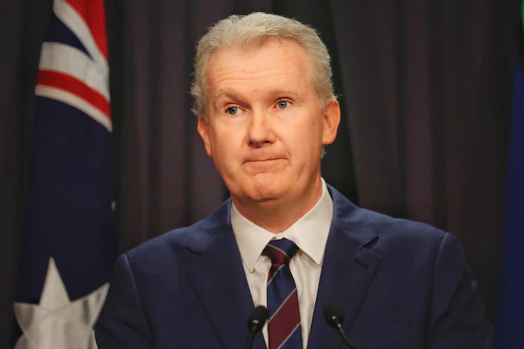 Employment minister Tony Burke