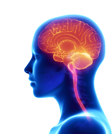 mind removebg preview