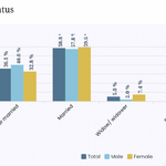 maritalstatus-p7-bajhang